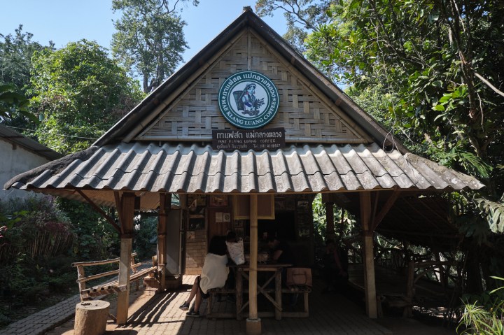 Mae Klang Luang Coffee - Chiang Mai, Thailand