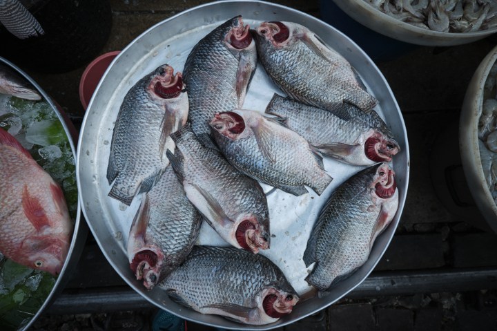 Old Style Thai Coffee at Damnoen Floating Market - 52 Coffee Brews